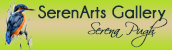 serena pugh of serenarts gallery link image